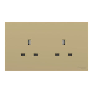 AvatarOn C 13A孖蘇插座