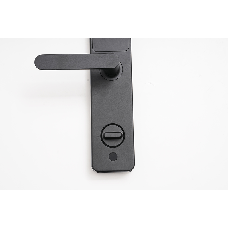 Aqara 智能門鎖A100(香港版) (配基本安裝) |支援HomeKit,手機開鎖 - LINKO Shop