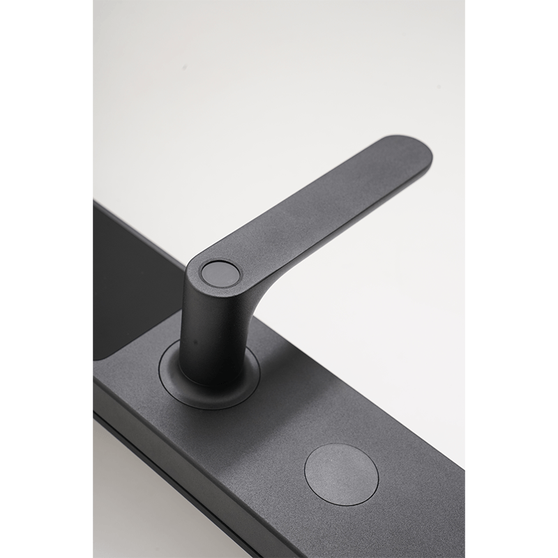 Aqara 智能門鎖A100(香港版) (配基本安裝) |支援HomeKit,手機開鎖 - LINKO Shop