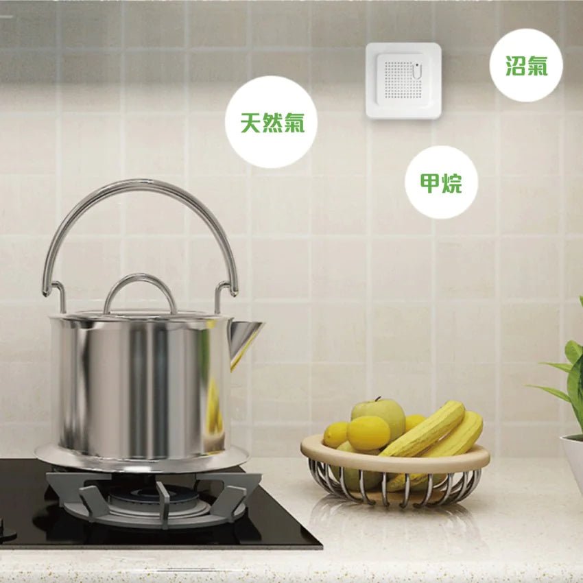 LifeSmart 可燃氣體偵測器 Gas Sensor| 確保你的家中安全 - LINKO Shop