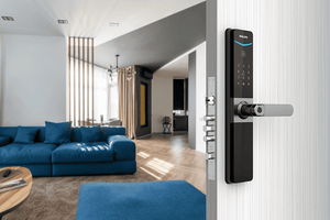 PHILIPS EasyKey DDL610 執手式智能門鎖 星空灰 | LINKO Shop