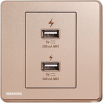 西門子 DELTA®arina 雙USB 智能充電插座 產品圖片