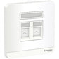 AvatarOn奐尚 RJ45 單／兩位, Cat 5e/ 6 數據Keystone面板 備防塵活門 ｜ 請先查詢現貨 - LINKO Shop