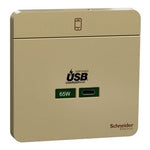AvatarOn奐尚 65W USB 快速充電 type C （白／金／灰） ｜ 請先查詢現貨 - LINKO Shop