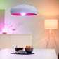 【彩光智能燈泡】WiZ Colors A60 E27 Full Color｜智能家居燈具、WiFi配對｜香港行貨、一年保養 - LINKO Shop